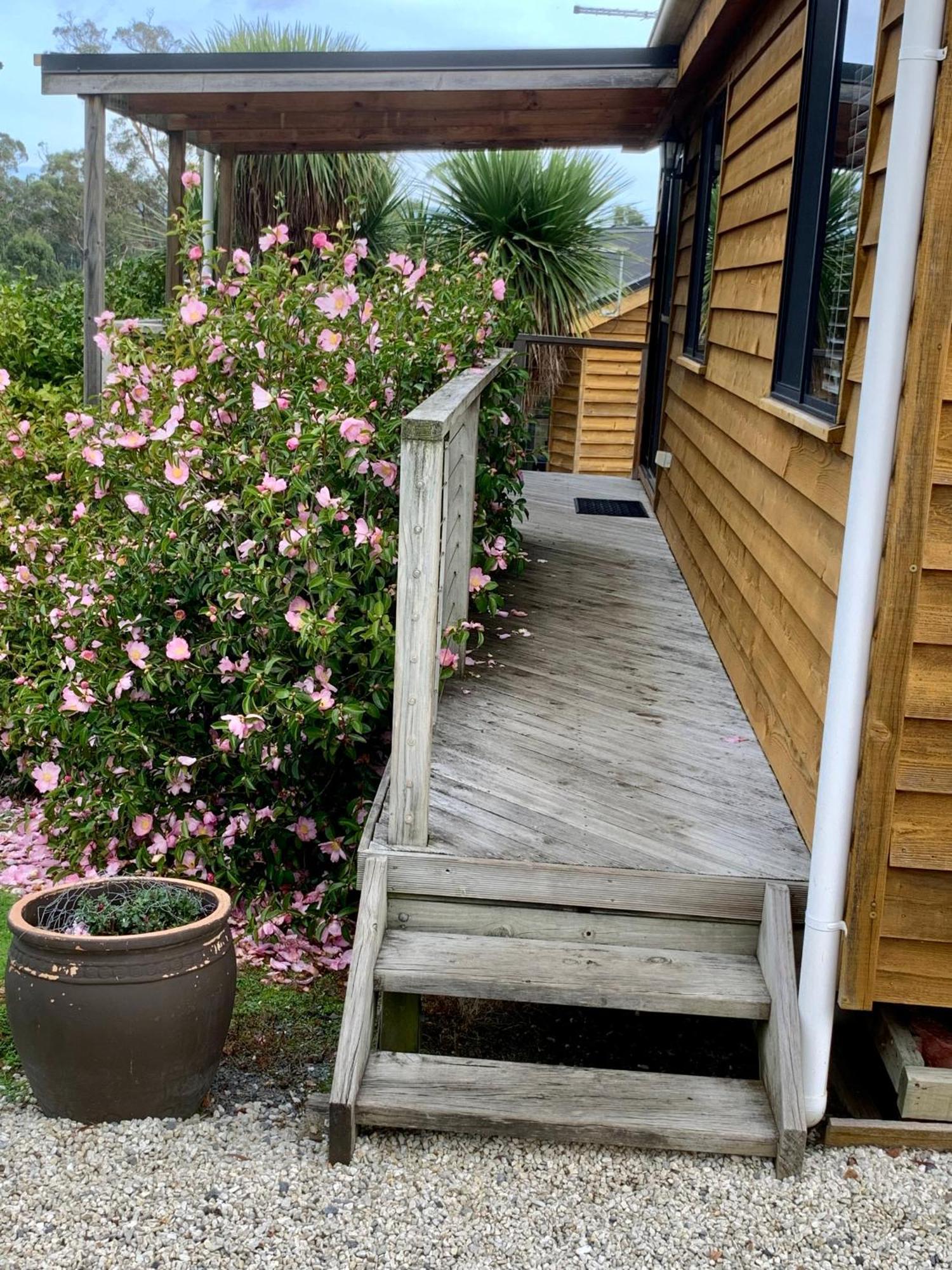 Hazelcreek Cottages Exeter Eksteriør billede
